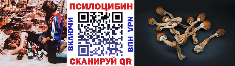 Галлюциногенные грибы ЛСД Чайковский